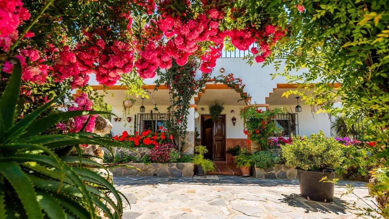 Casa Los Cactus El Gastor By Ruralidays