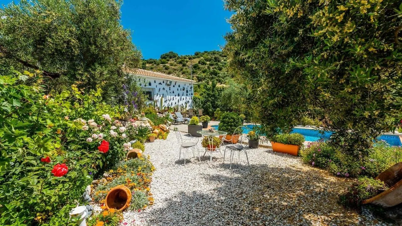 Villa Casa Los Cactus El Gastor By Ruralidays