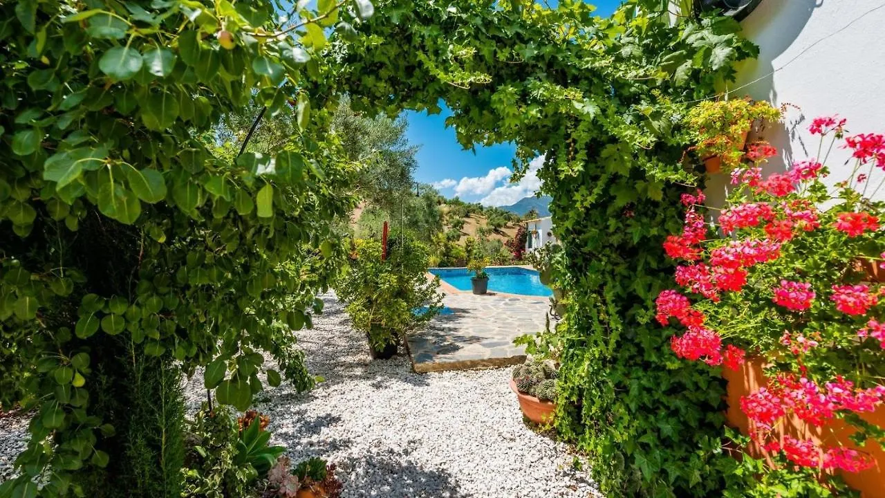 Villa Casa Los Cactus El Gastor By Ruralidays Spain